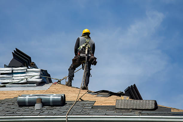 Professional Storm Damage Roof Repair technician working in Fishers, IN